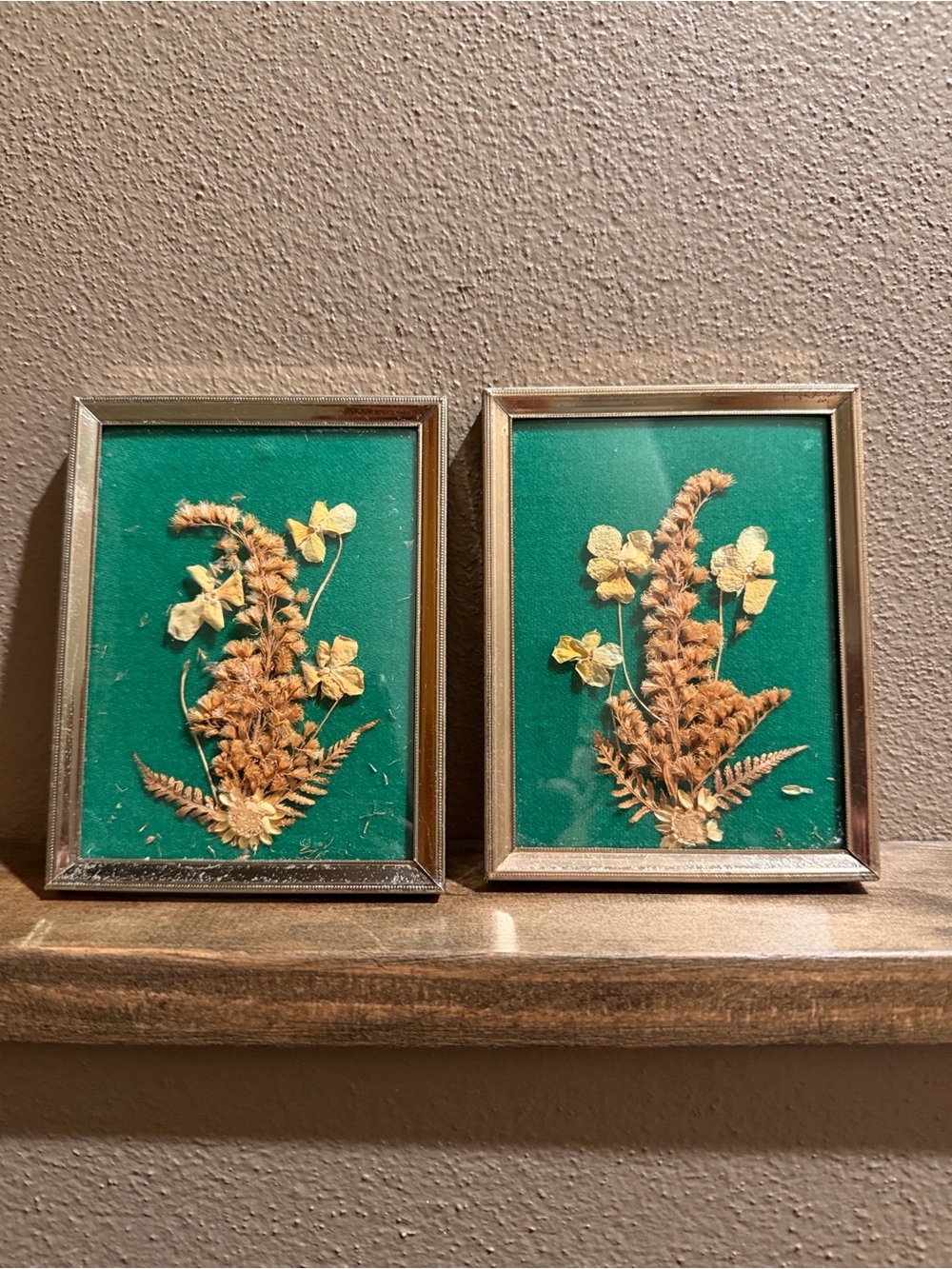 Vtg Dried Flower Art Pressed In Rectangle Frames Wall Hanging Decorative Pair